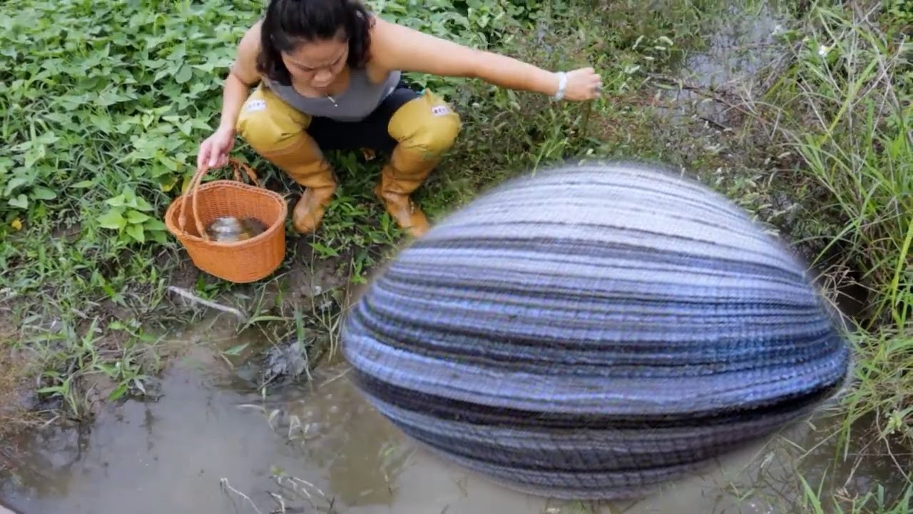 🎁  A girl wearing pearl country once, because clam pearls encoded the memory of the forgotten empire