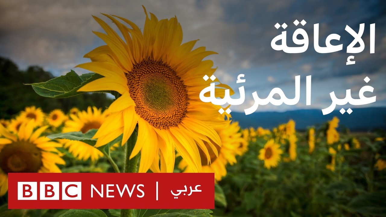 ماذا نعرف عن الإعاقة غير المرئية؟