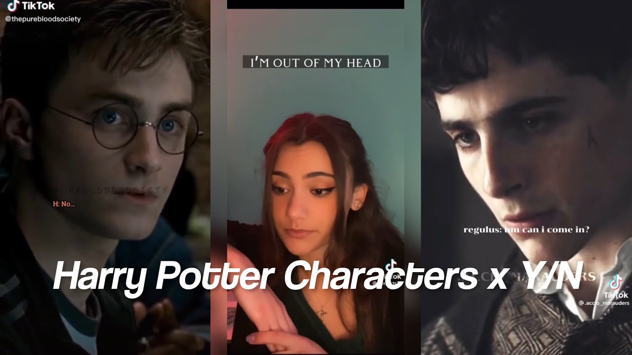Harry Potter Characters x Y/N TikTok POV