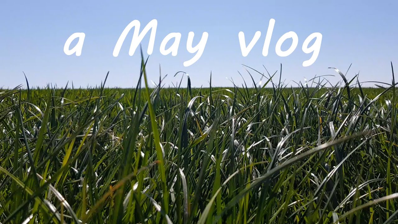 A Chill Vlog from May  // bike rides, walks, cooking, painting and more (no talking)