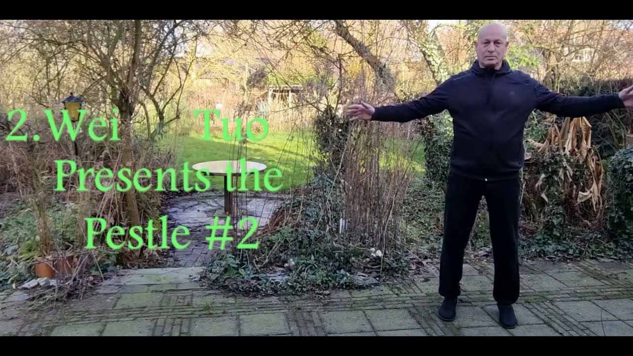 Yi Jin Jing (易筋经) QiGong-Spieren en pezen veranderen