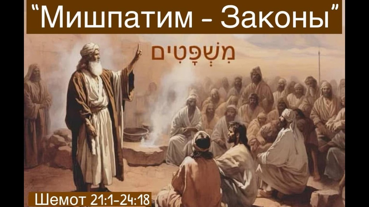 2026_5786  Сарасота, Флорида.