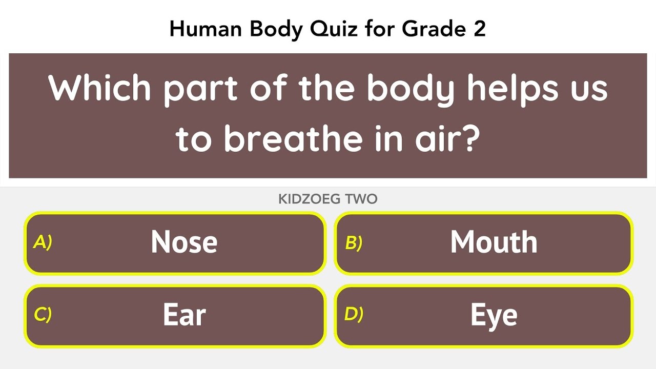 Human Body Quiz for Grade 2 Kids | 15 Questions on Body Parts, Organs & Health Basics | Science Test