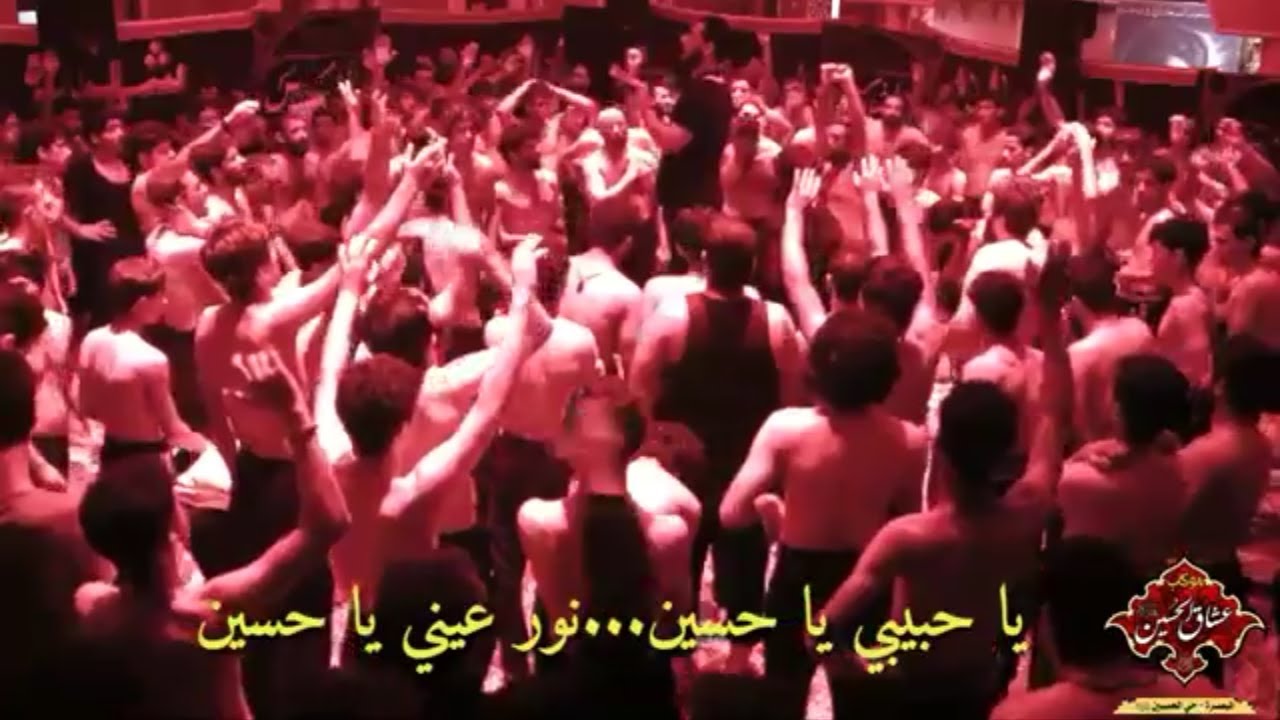 ملا محمد باقر الخاقاني _ فيديو/  حبيب كلب الزجية _ موكب عشاق الحسين _ مجالس المشاية