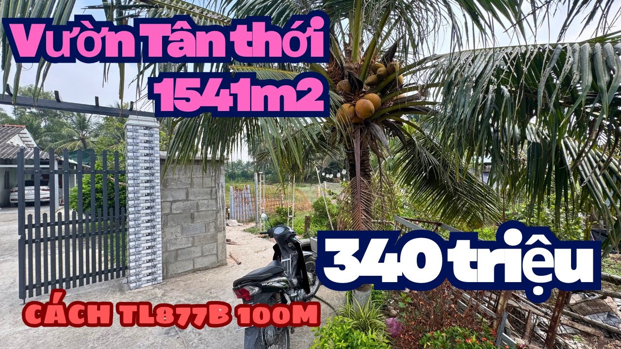 MS1929: Hết 340 triệu, 1541M2 VƯỜN RỘNG CÁCH TL877B NHỰA 100m