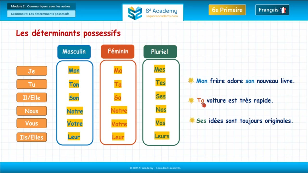 6e année | Français – Module 2 – Grammaire : Comment s'accordent les determinants possessifs