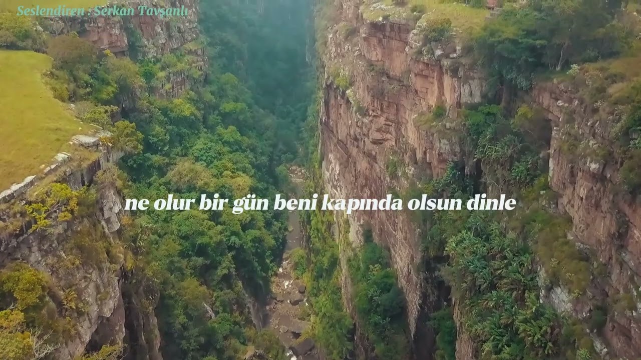 Şaşırdım Kaldım İşte | Yavuz Bülent Bakiler