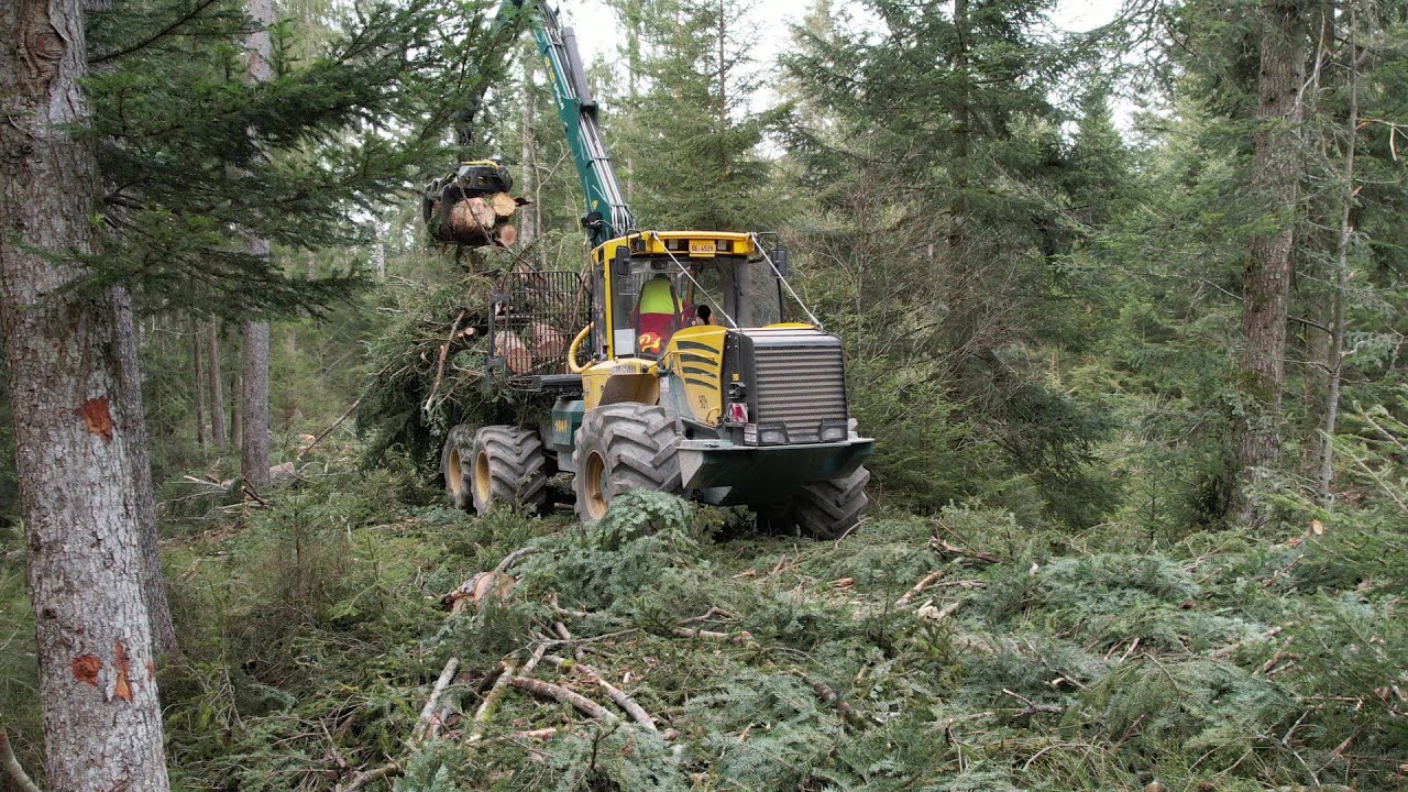 HSM 904f bei der Hackholzbringung