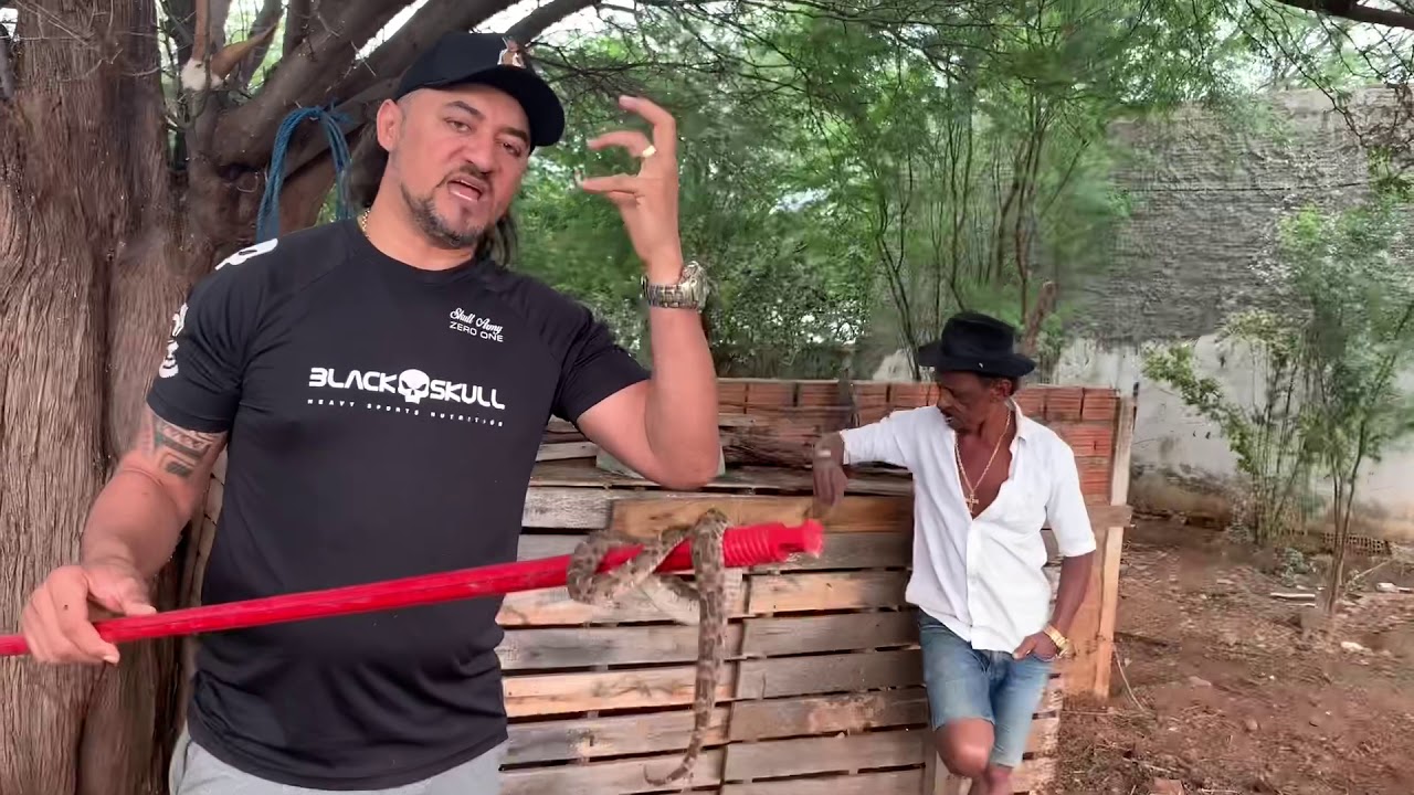 CHARLLES ENCONTRA UMA JARARACA MALHADA CASCAVEL NO QUINTAL | COMÉDIA SELVAGEM ®