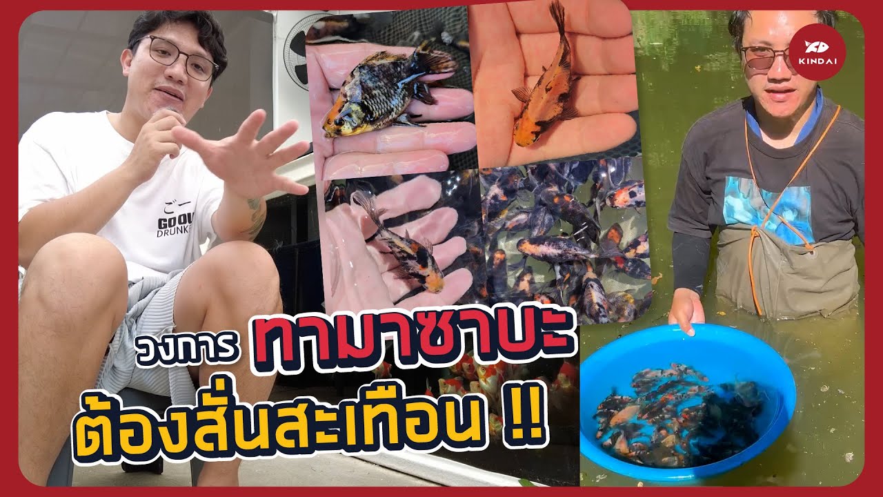 ทามาซาบะสายพันธุ์ใหม่?!?! : Tamasaba Trainee Ep2