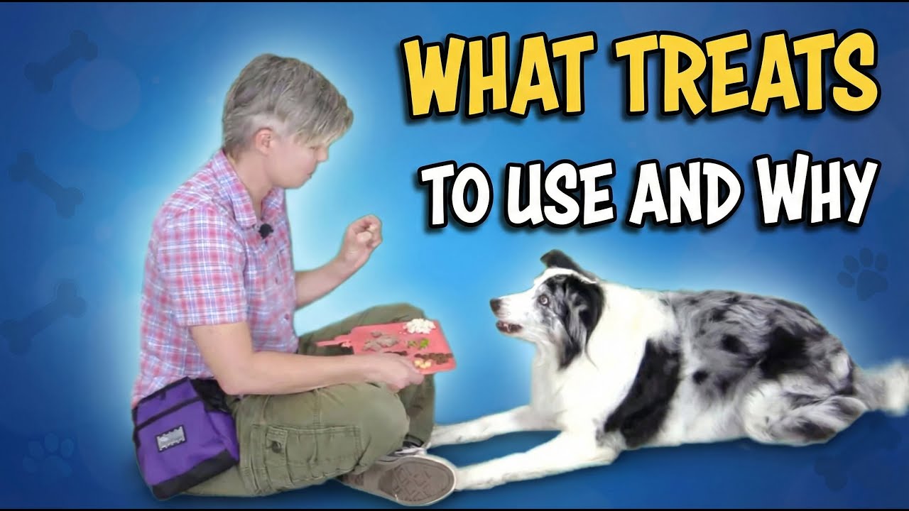 What treats to use and why - Professional Dog Training