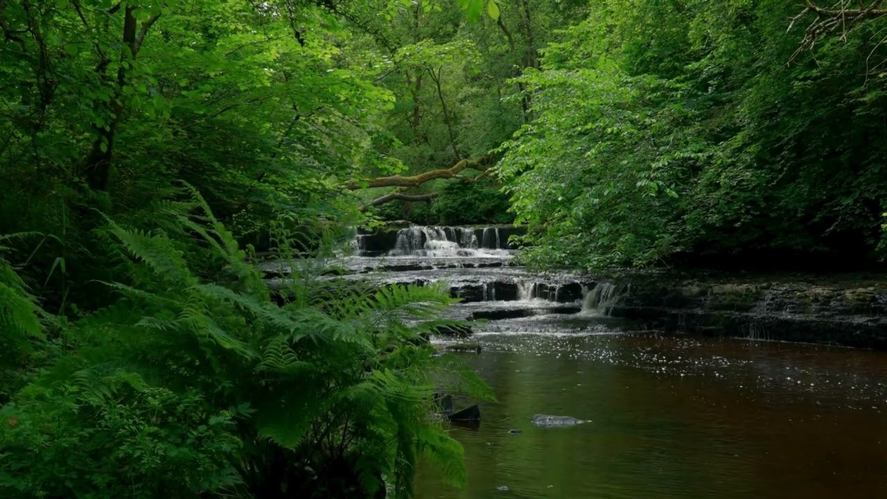5-Minute Mindfulness: Daily Meditations for Stress Relief 256