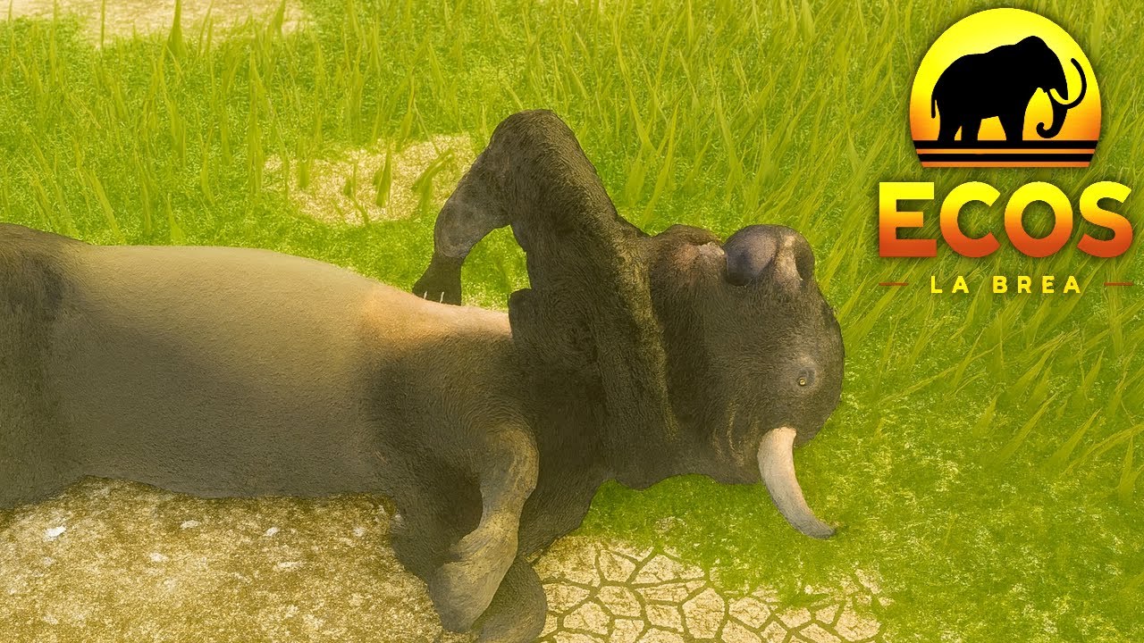 Gatinho preto sedento por carne - Ecos: La brea (Roblox)