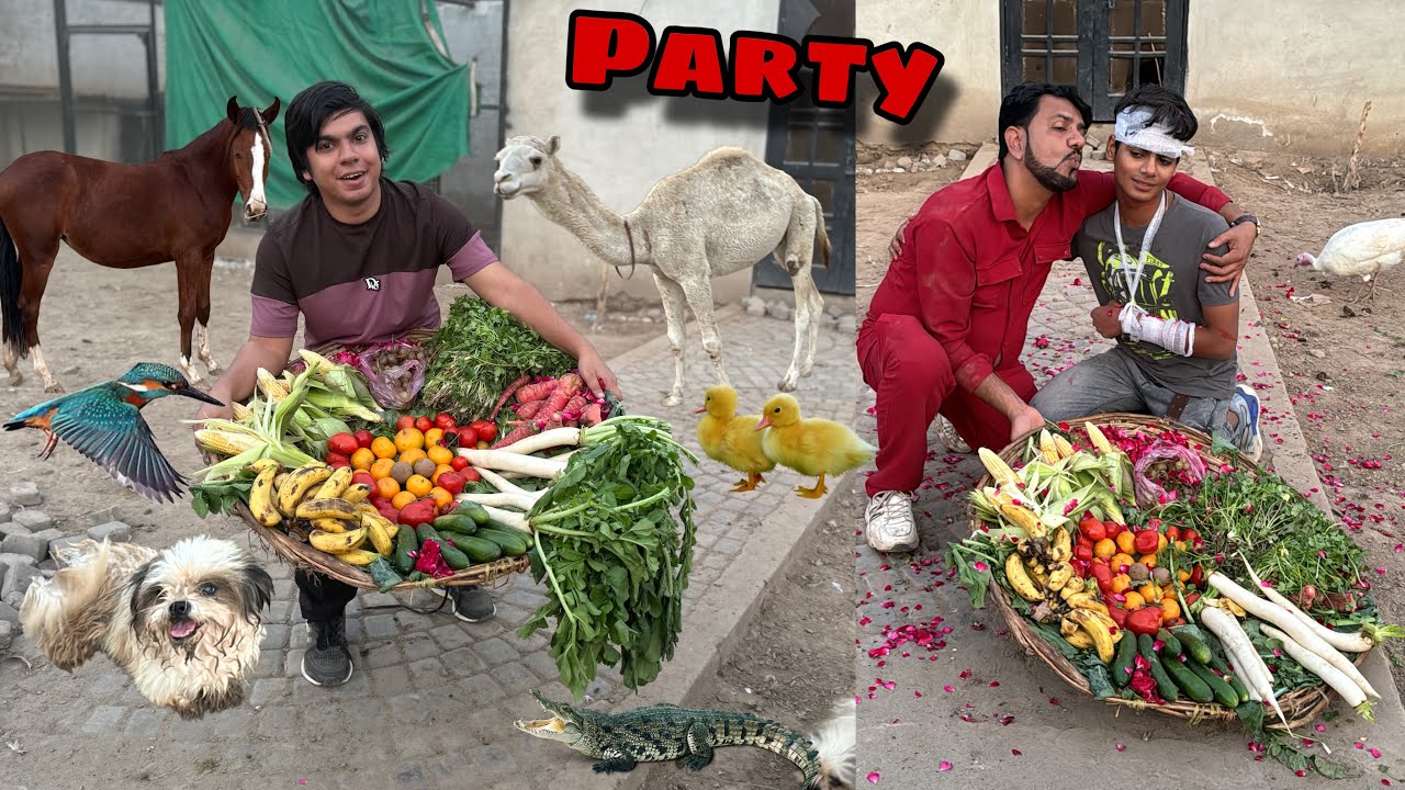 Sab Animals Ko Party Di 🥳 Subhan is Back 😍
