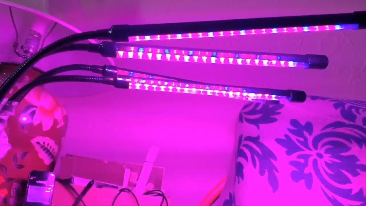 Indoor Plant Grow Light for Winter/reel life memories