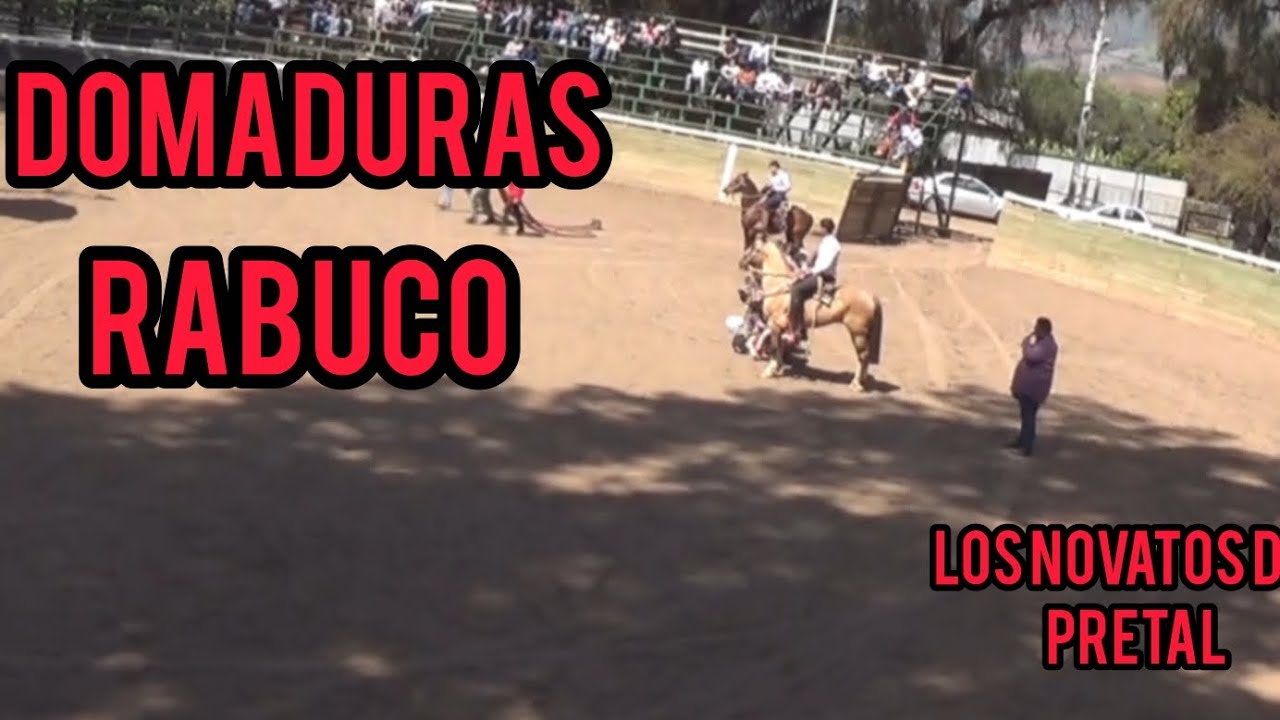 Domaduras rabuco Hijuelas año 2025 los novatos del pretal 🤠