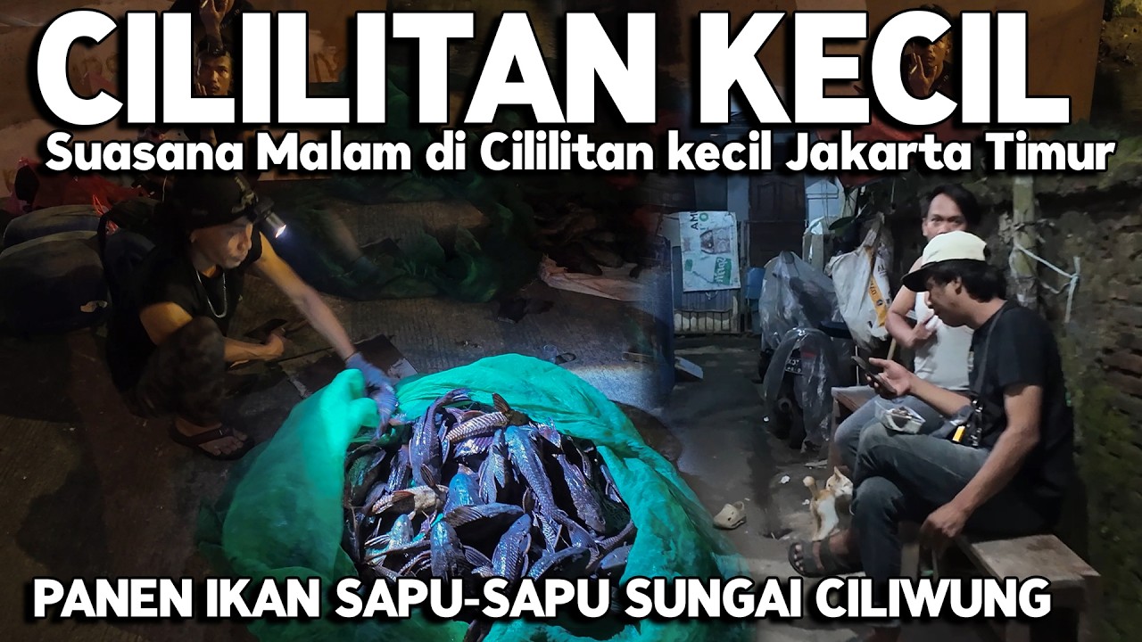 SUASANA MALAM DI GANG SEMPIT CILILITAN KECIL JAKARTA TIMUR  | Real Life in Jakarta Indonesia