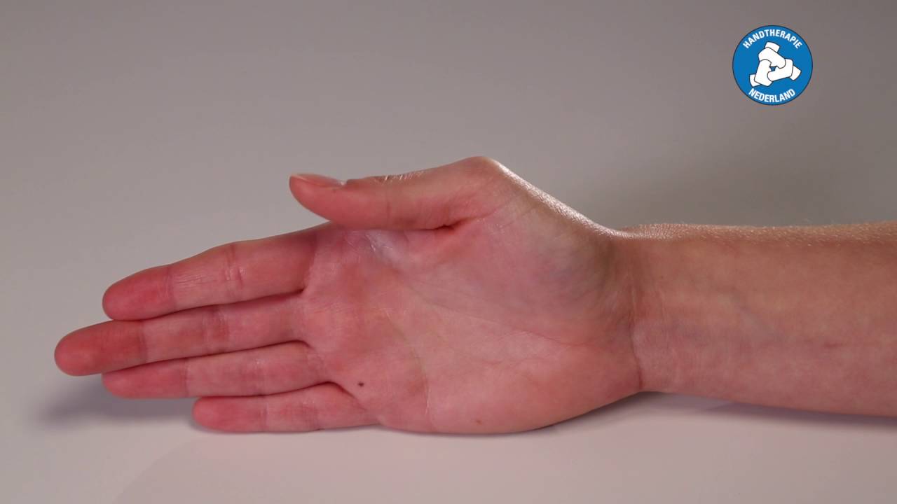18 Geisoleerd buigen middengewricht duim
