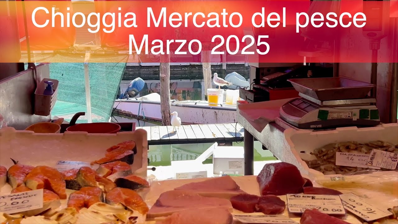 Chioggia e il mercato del pesce Marzo 2025