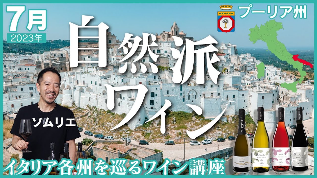 【 ワイン講座 】やさしい酔いに包まれます！おすすめのオーガニックワイン【 料理レシピ 】