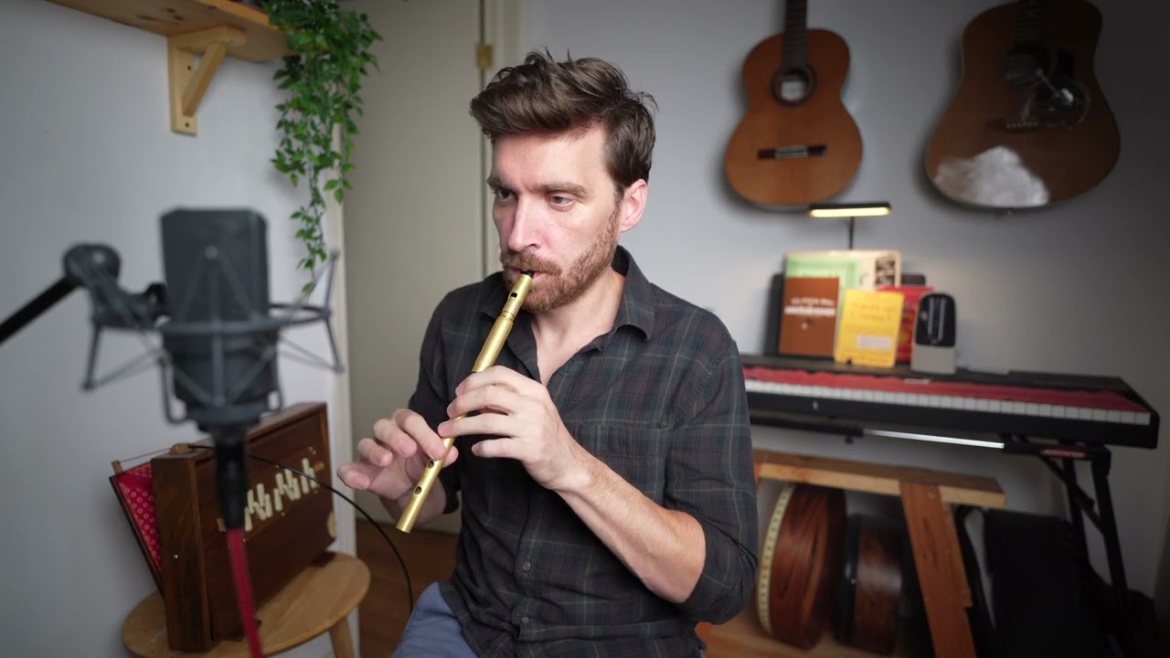 Fig for a kiss & The Butterfly - 2 Irish slip jigs on tin whistle