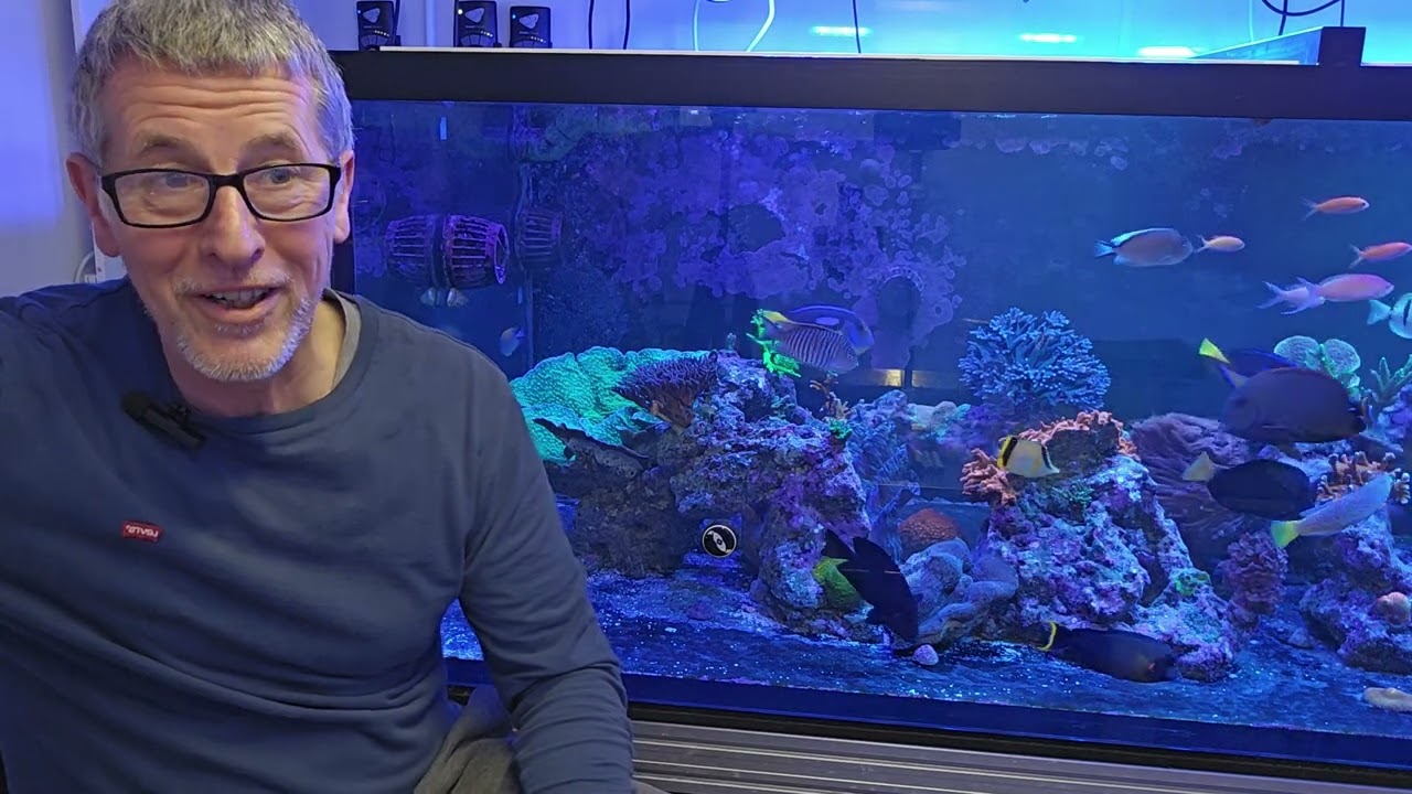 How to Have Success with An Achillies tang