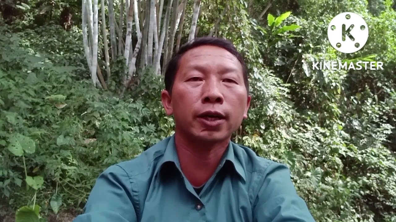 zaj txiv xaiv taij kom,sam phiaj nyuam tsum tus hais (paaj kos yaaj)