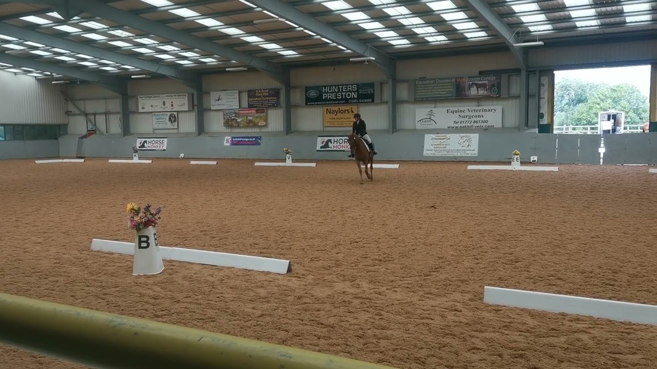 Prelim 15