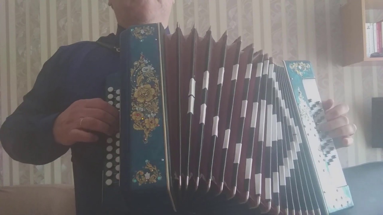 Моя первая гармонь (Шуйская). Как меня угораздило купить гармонь и начать учиться играть на ней.