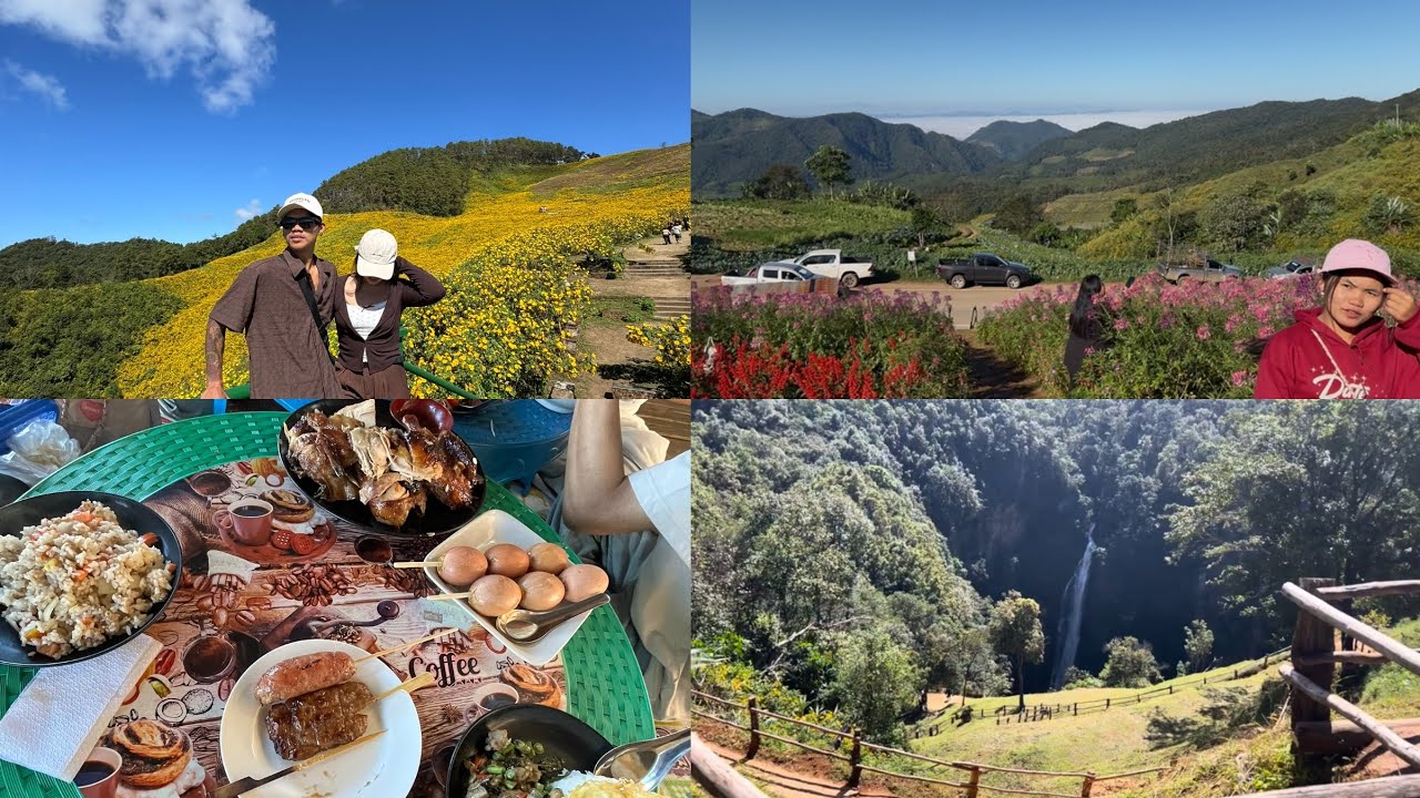 Karenni video 2025 “ visited to Thung Bua Tong Field at Doi Mae U Kho🤍🌼”