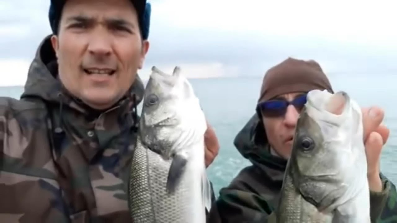 Bolognese tra i Frangenti...La Lenza