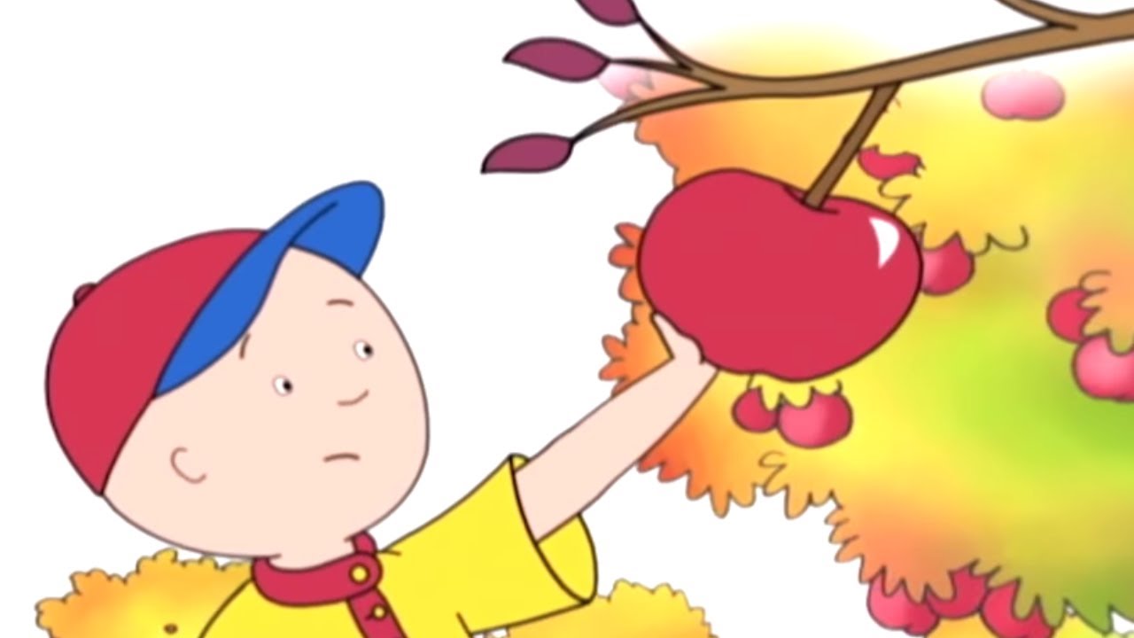Caillou Italiano - Caillou va a raccogliere le mele | Nuovi episodi | Episodi completi
