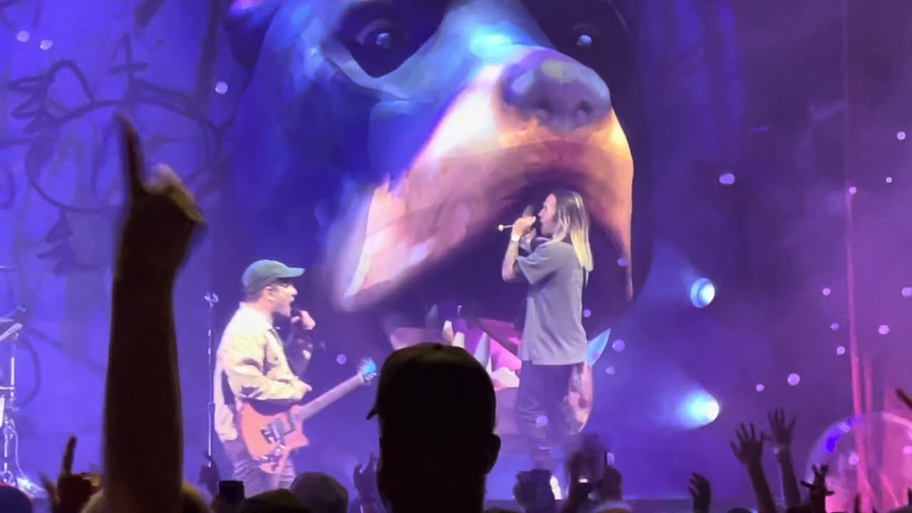 Fall Out Boy - Disloyal Order of Water Buffaloes - Forest Hills Stadium - NYC - 8/1/23
