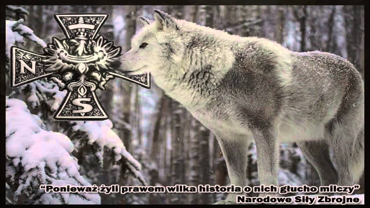 BoKoTy - Za Wolną Polskę
