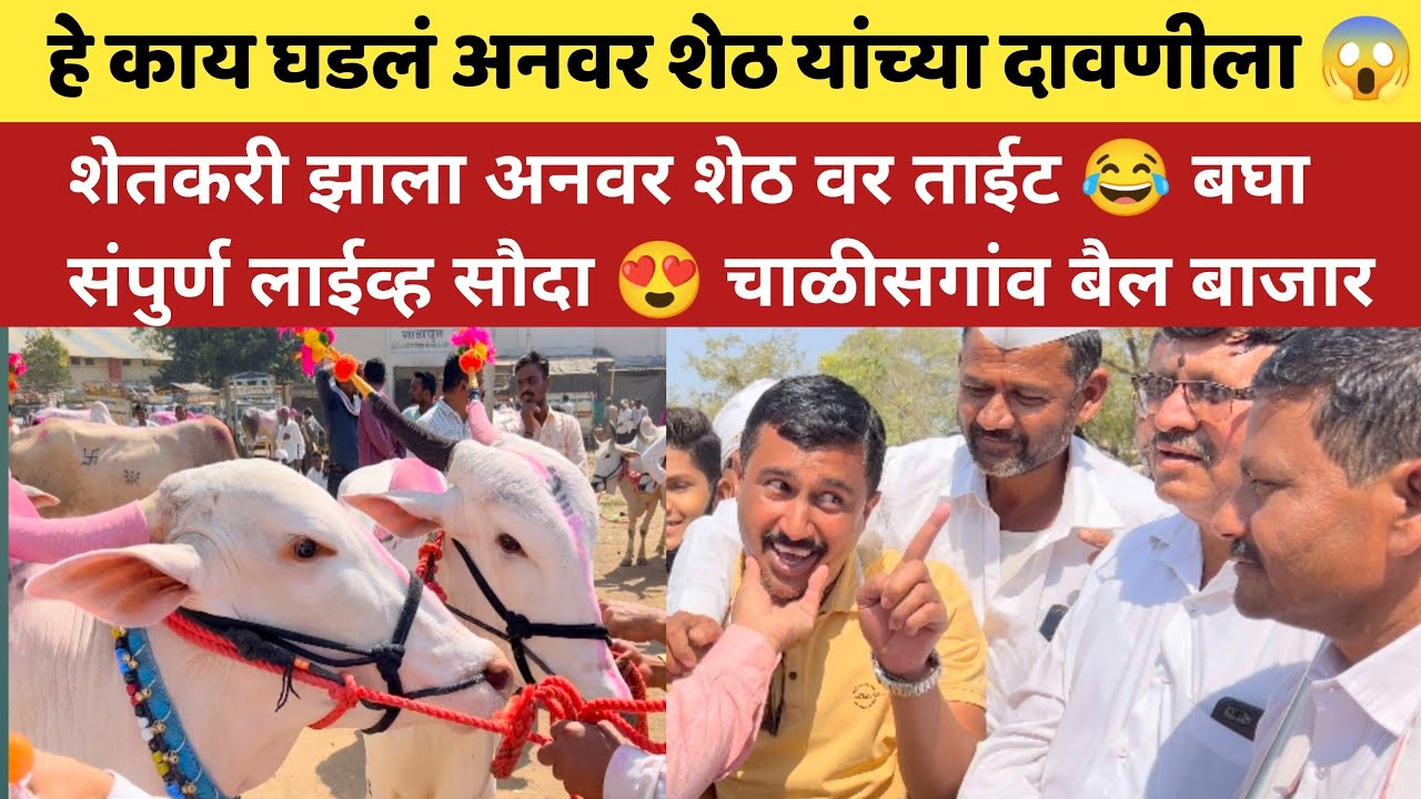 हे काय घडलं अनवर शेठ यांच्या दावणीला 😱 शेतकरी झाला अनवर शेठ वर ताईट 😂 बघा संपुर्ण 🔴Live सौदा 😍