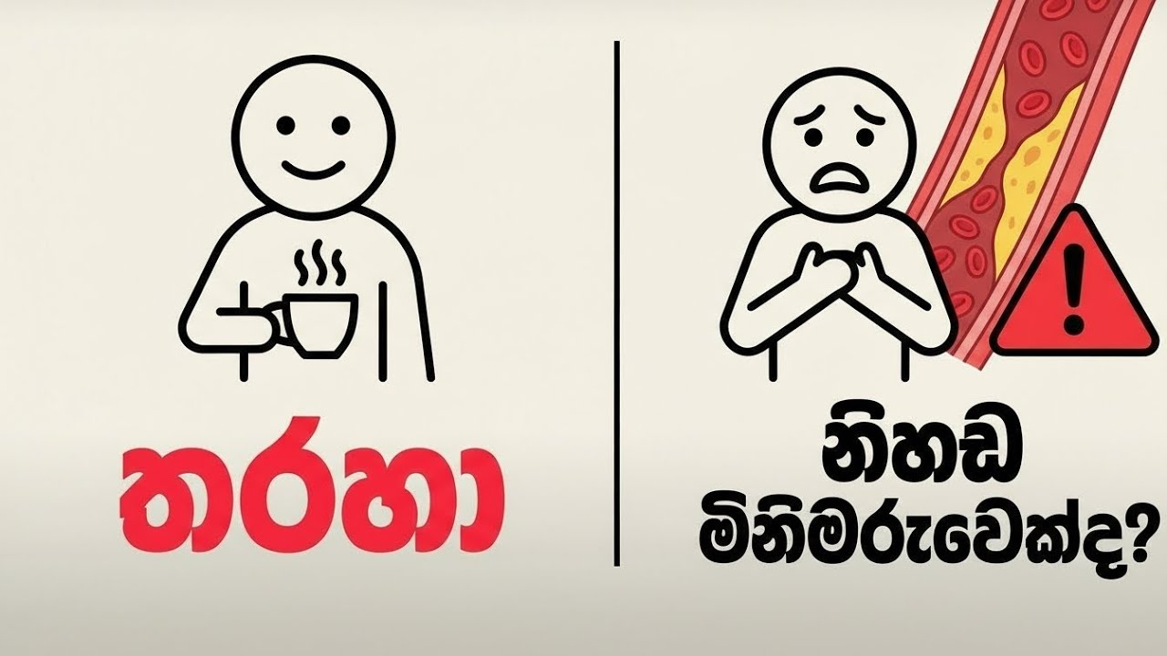 තරහ ගිය වෙලාවට තත්පර 60ක් ඉවසුවොත් මොකද වෙන්නේ? | Science Explained