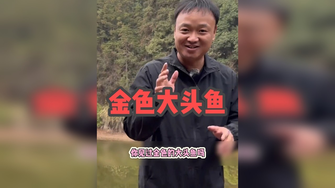 金色大头鱼你们说值多少钱？