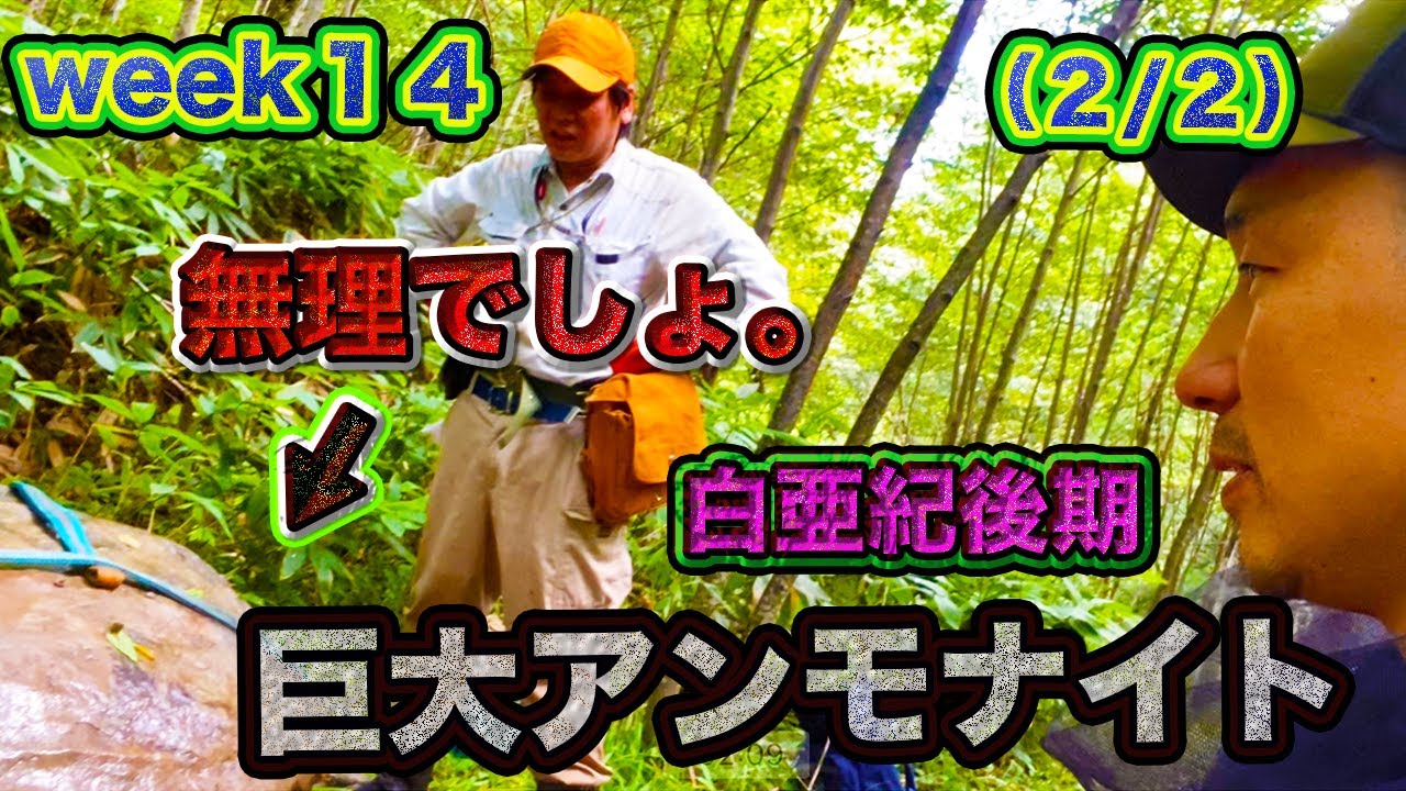 【恐竜】②《WEEK14》貴重な巨大アンモナイト化石は回収できるの？！頭フル回転させて、何とか…。笑　！午後から函淵層の場所へ。新たな発見なるか！？（２/２）後半＃恐竜＃むかわ町穂別