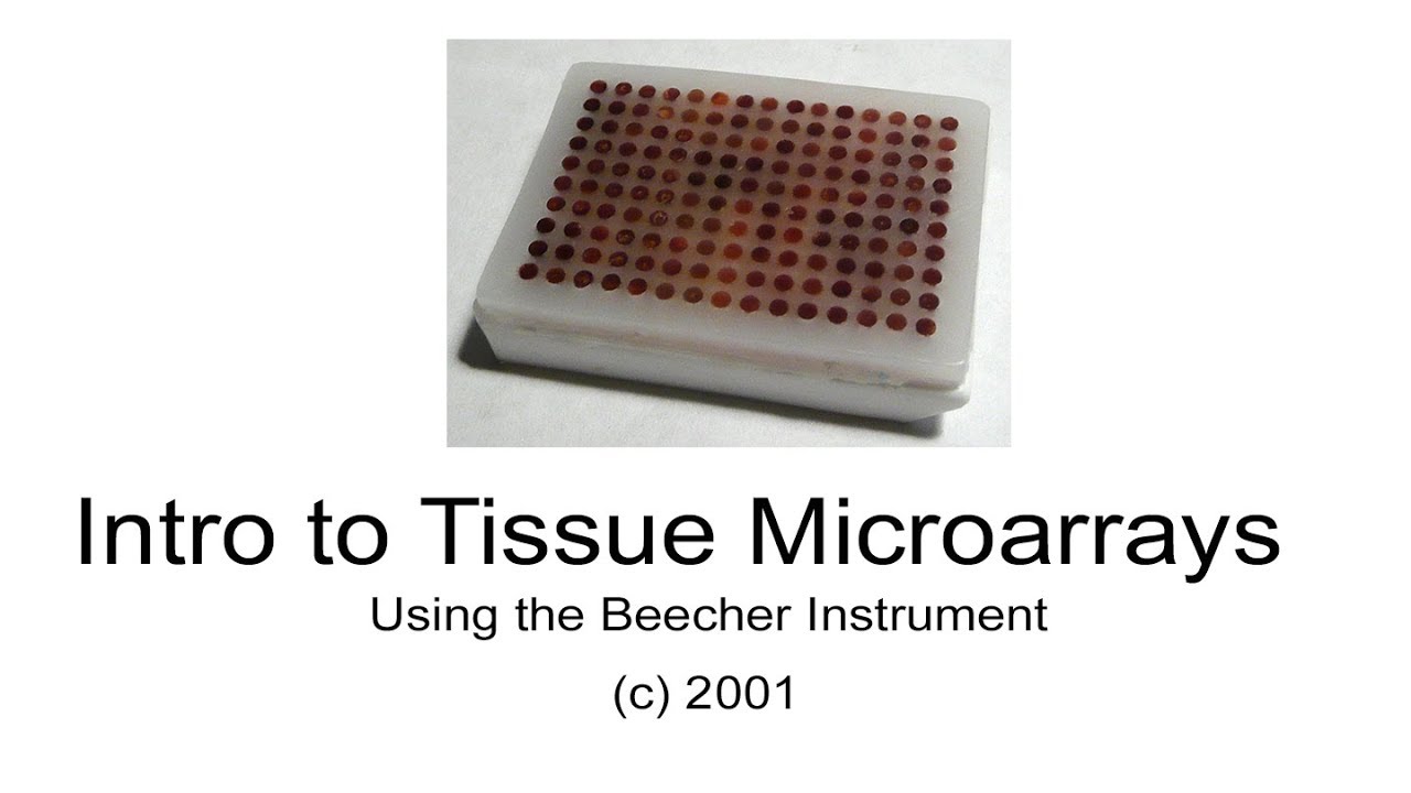 Introduction to the Tissue Arrayer - Beecher Instrument