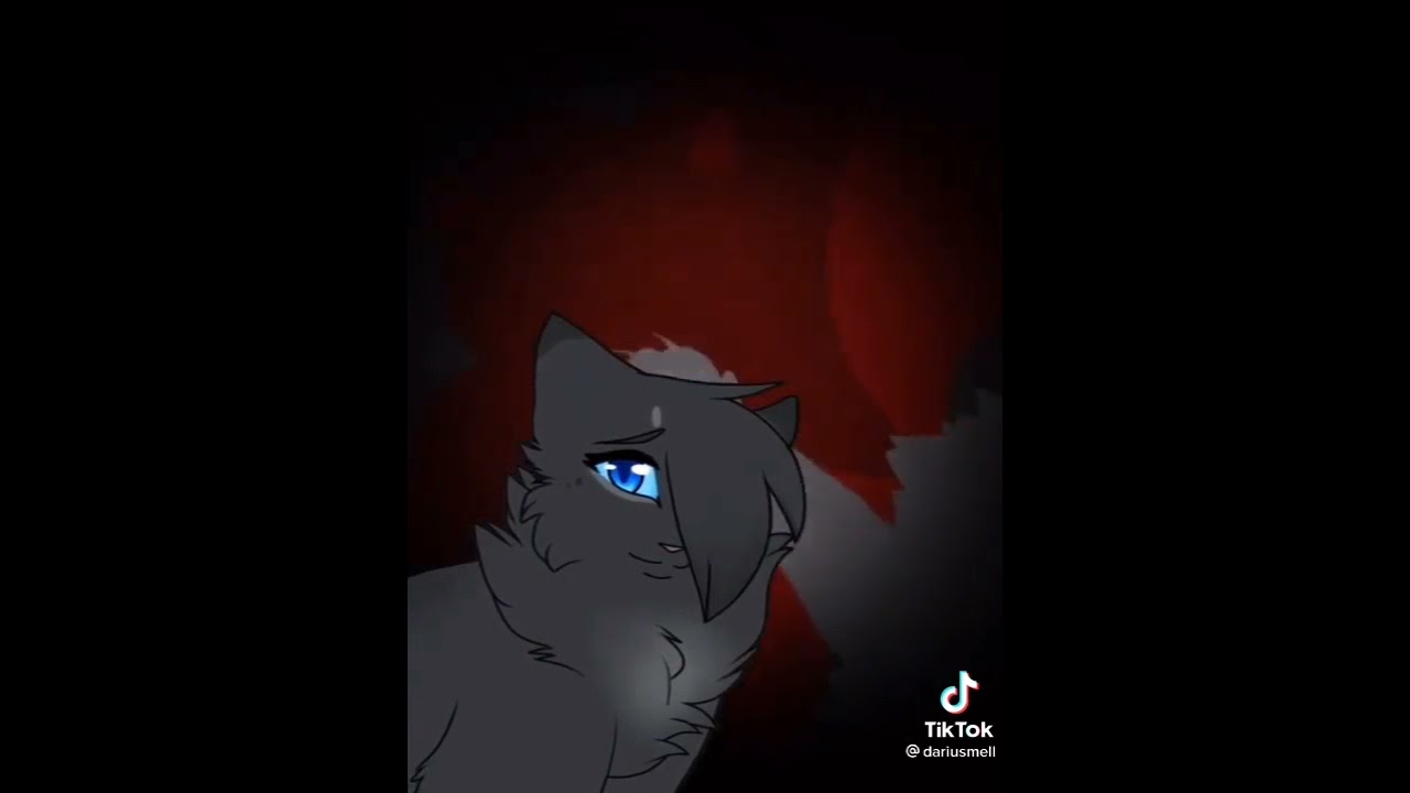 кв коты-воители из тик тока #1 #котывоители #кв
