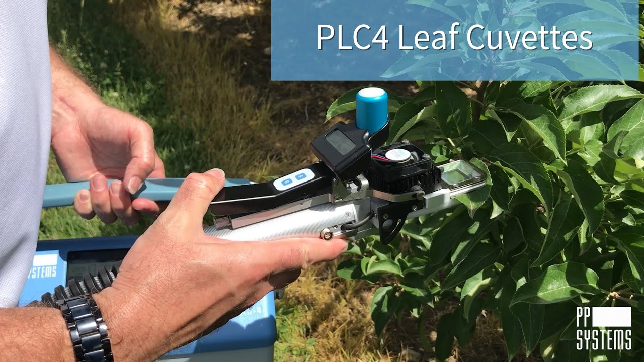 Measuring Leaf Gas Exchange? You have control in the palm of your hand with a PLC4 Leaf Cuvette