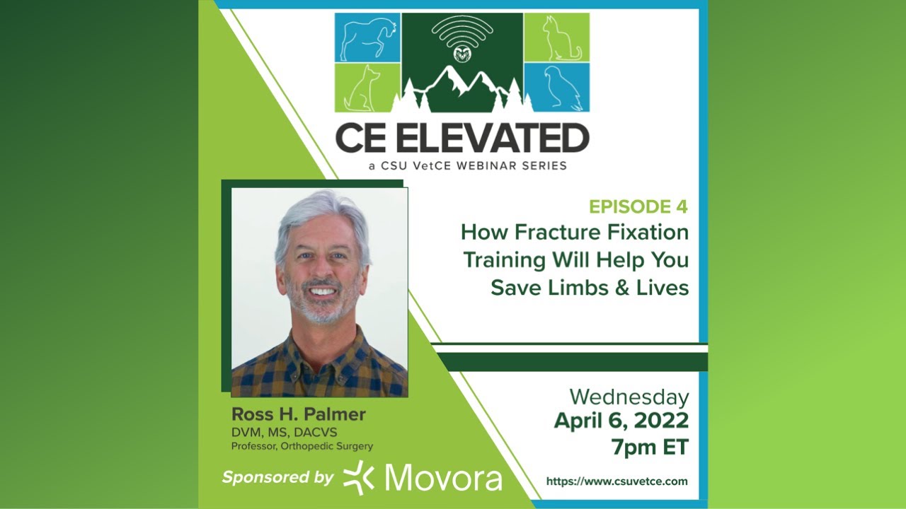 04 CE Elevated-Palmer, 
