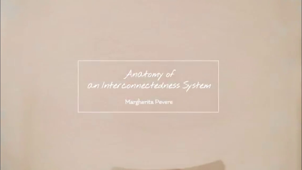 Anatomy of an Interconnected System by Margherita Pevere