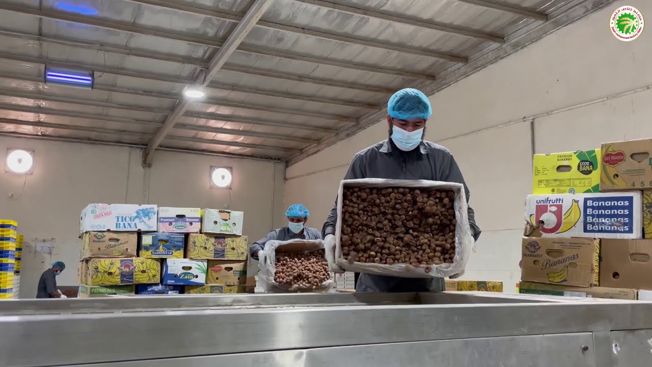 نبذة عن مصنع خلاص التمور في المملكة العربية السعودية