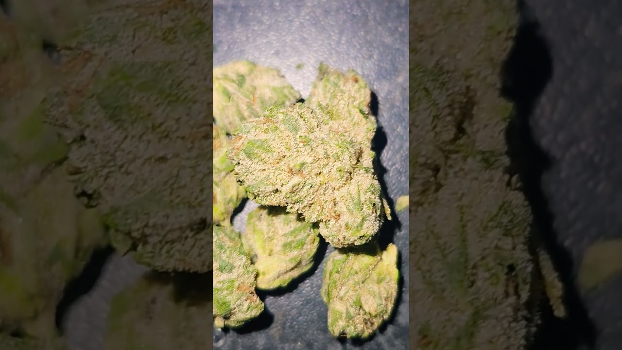 Race fuel OG