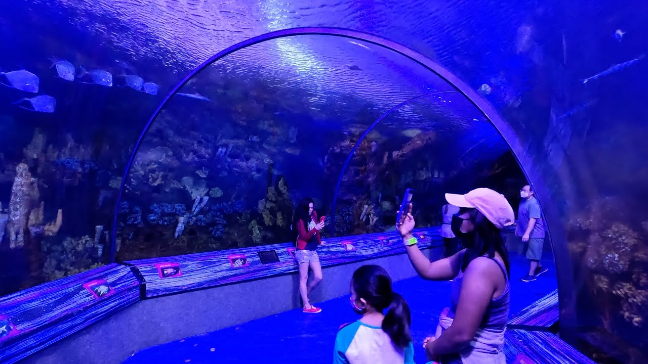 AQUARIUM SEA WORLD | ORLANDO FLORIDA 2021 | Ohana Vlogs