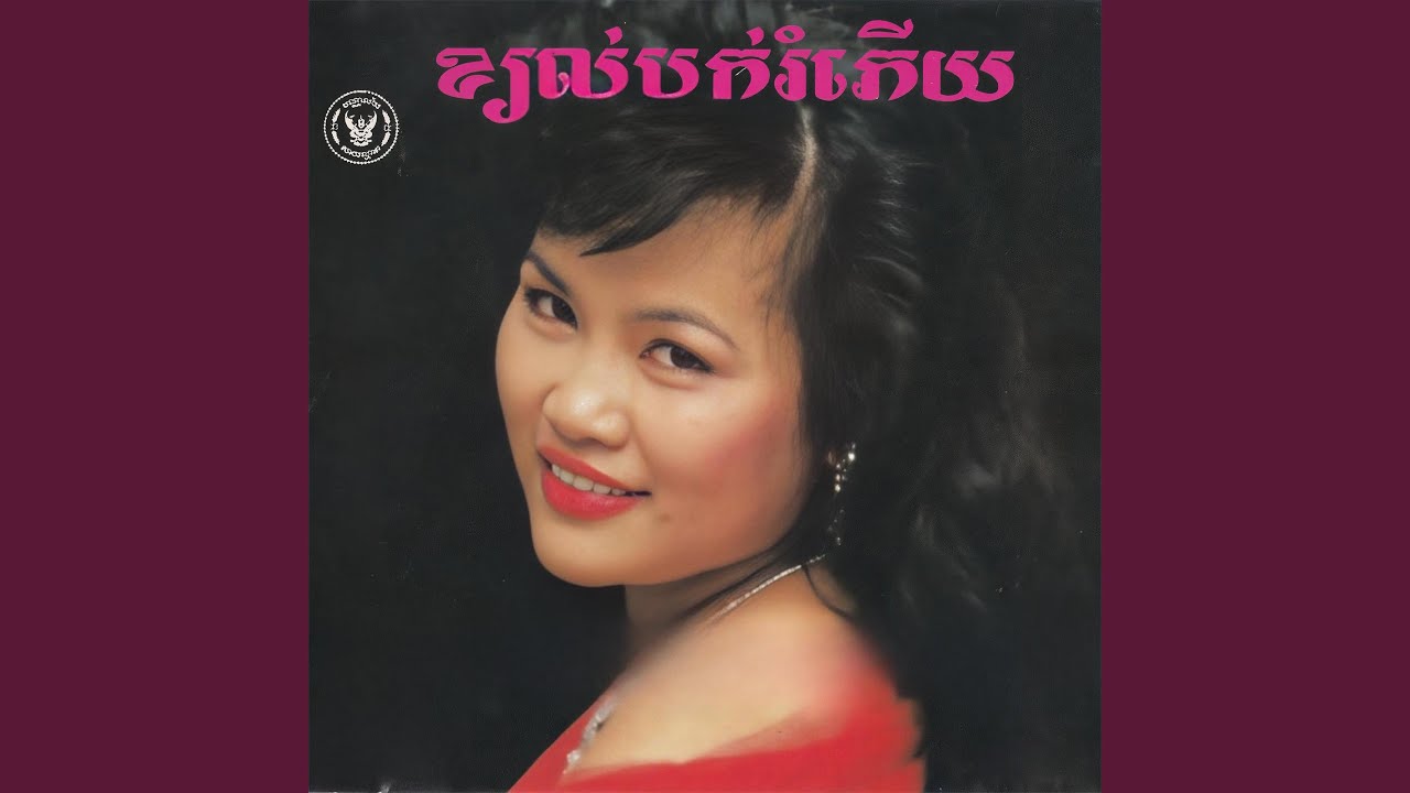 វិលវិញហើយឫបង?