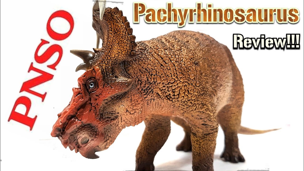 2020 PNSO Pachyrhinosaurus Review!!!