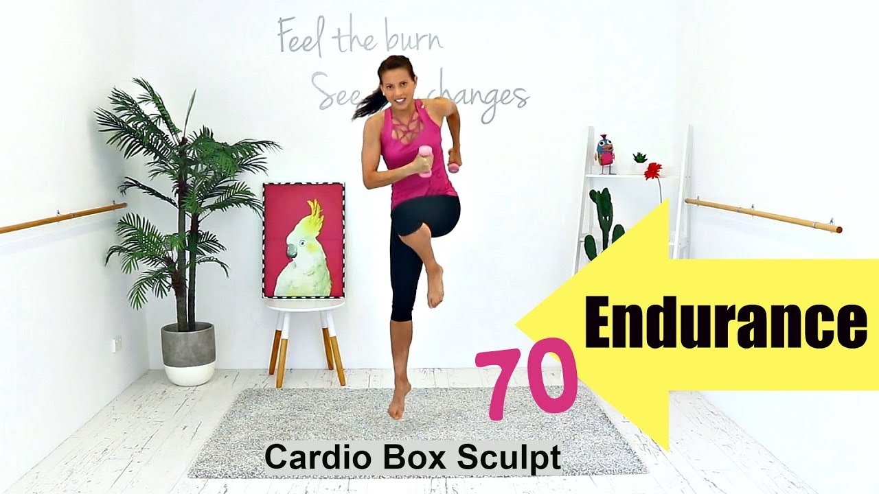 INTERVAL WORKOUT Kickboxing WORKOUT -  Barlates Body Blitz Endurance 70 Cardio Box Sculpt