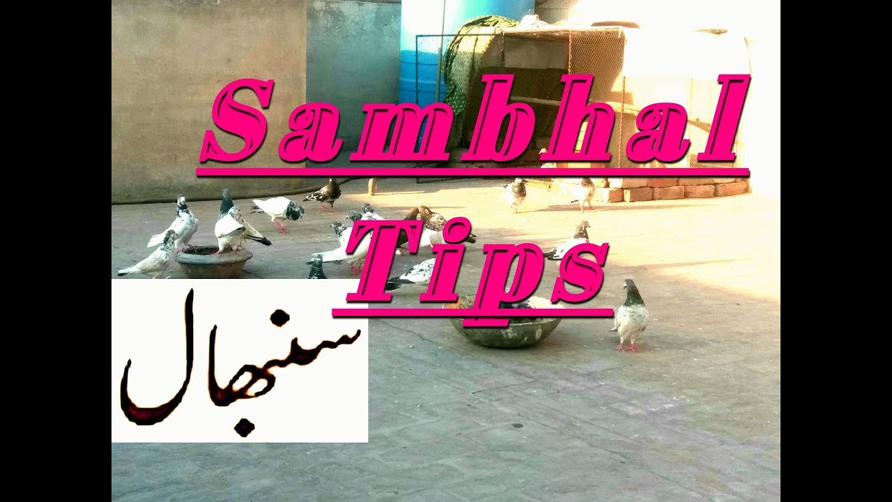 Kachi Phirto Ki Sambhal (besakh ki tyari part 14)